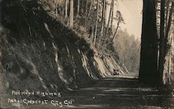 Redwood Highway Postcard