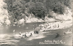 Bathing Beach at Richardson Grove State Park Garberville, CA Postcard Postcard Postcard