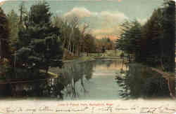 Lake in Forest Park Postcard