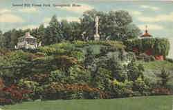 Laurel Hill, Forest Park Springfield, MA Postcard Postcard