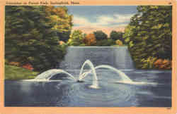 Cascades in Forest Park Springfield, MA Postcard Postcard