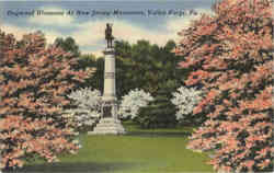 Dogwood Blossoms At New Jersey Monument Postcard