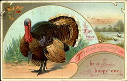 Thanksgiving Turkeys Postcard Postcard