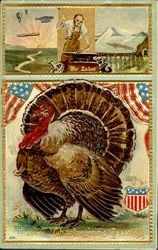 Thanksgiving Greetings Postcard