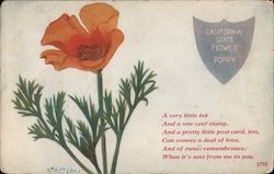 California State Flower Poppy Postcard Postcard Postcard