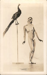 Nude Woman With Peacock Risque & Nude Postcard Postcard Postcard