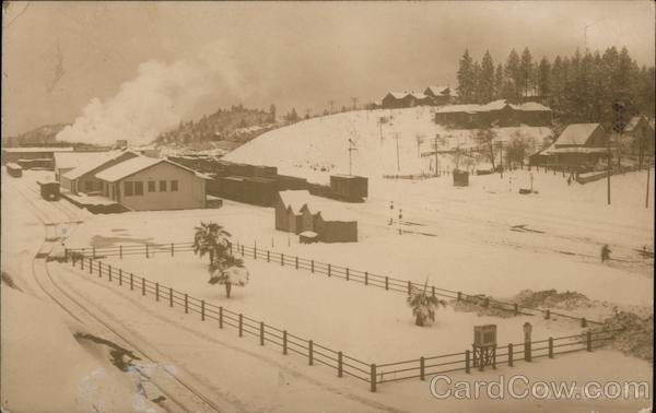 Colfax Fruit Growers in Winter California Postcard