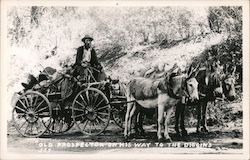 "Old Prospector on his Way to the Diggins" Postcard