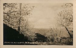 Aeolia Heights Auburn, CA Postcard Postcard Postcard