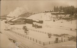 Colfax Fruit Growers in Winter California Postcard Postcard Postcard