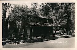 Old Trippe Store Postcard