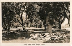 City Park Postcard