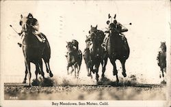 Bay Meadows Postcard