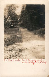 In the Santa Cruz Mountains, Wrights Los Gatos, CA Postcard Postcard Postcard