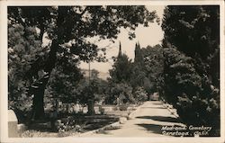 Madronia Cemetary Postcard