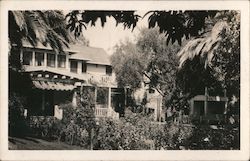 House and Palm Trees Saratoga, CA Postcard Postcard Postcard