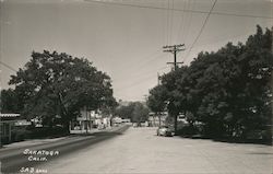 Street View Saratoga, CA Postcard Postcard Postcard