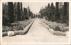 Villa Montalvo, Santa Clara County Postcard