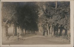 A Couple Sitting on the Side of the Road Santa Clara, CA Postcard Postcard Postcard