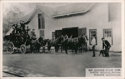 New Almaden Stage, 1896, Pancho Alcaraz, Driver Postcard