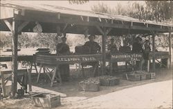 H.E. Larson Ranch Workers Grading Fruit Mountain View, CA Postcard Postcard Postcard