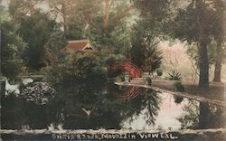 Griffin Ranch, Hand Colored Mountain View, CA Postcard Postcard Postcard