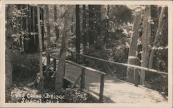 Tivas Creek Bridge Sveadal, CA Postcard Postcard Postcard