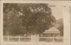 House with Fence in Front and Trees Morgan Hill, CA Postcard Postcard Postcard