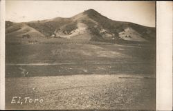 El Toro Morgan Hill, CA Postcard Postcard Postcard