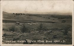 View Looking Toward Coyote From Blue Camp California Postcard Postcard Postcard