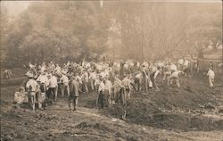 UC Berkeley, Men Digging with Shovels California Postcard Postcard Postcard