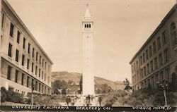 University of California Postcard