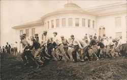 Group of Men Pulling on Rope, Building Road Berkeley, CA Postcard Postcard Postcard