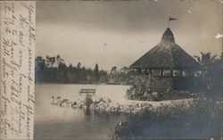 A Hut on the Shore Berkeley or Lake Merritt Postcard