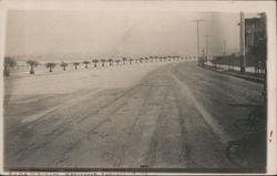 Lake Merritt Boulevard Postcard