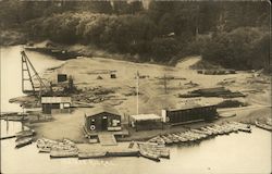 C.W. Meadows, Boatman Postcard