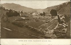 Birds Eye View Duncans Mills, CA Postcard Postcard Postcard