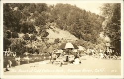 The Beach at Odd Fellows Park, Russian River Guerneville, CA Postcard Postcard Postcard