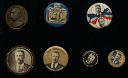 Lot of 14 Teddy Roosevelt Pins Buttons Campaign Election Postcard