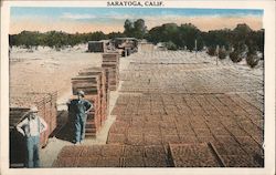 Drying Fruit Saratoga, CA Postcard Postcard Postcard