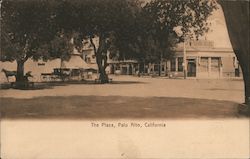 View of The Plaza Palo Alto, CA Postcard Postcard Postcard