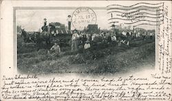 Picking Tomatoes on Buck's Ranch Postcard