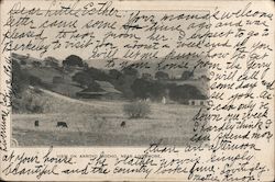 View on Arroyo Mocho, near Livermore Postcard