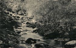 Bear Canyon Creek Postcard