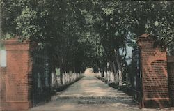 Entrance to Grounds at Senator Clark Postcard