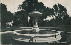 Cupid's Fountain Postcard