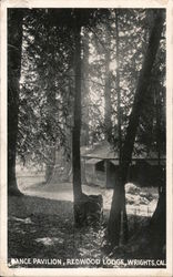 Dance Pavilion, Redwood Lodge Postcard