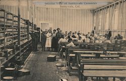 Interior View of Sunnyvale Canneries Postcard