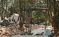 Camping at Congress Springs Postcard