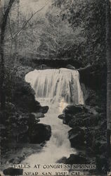 Falls at Congress Springs Postcard